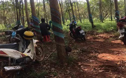 Bình Phước: Phát hiện kinh hoàng trong rẫy cà phê