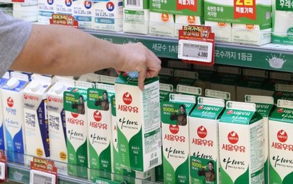 Hàn Quốc: 350 nhân viên công ty sữa buộc phải thôi việc, hé lộ nguyên nhân khiến ngành này lao đao tìm cách trở mình