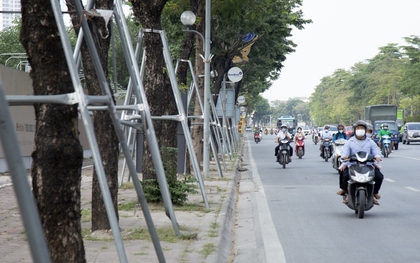 Ảnh: Hàng loạt cây xanh ở Hà Nội đang tuổi phát triển bị "đeo gông"