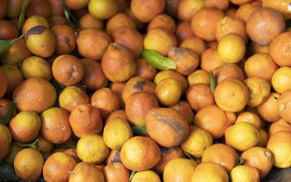 Loại trái cây đang khiến người dân Mỹ lo lắng khi ngày càng khan hiếm, đắt đỏ