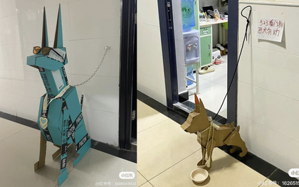 Giới trẻ Trung Quốc rộ trào lưu nuôi “thú cưng” siêu đáng yêu bằng bìa các tông