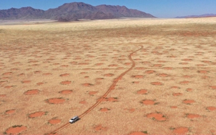 Lời giải đáp về vòng tròn bí ẩn ở hoang mạc khiến các nhà khoa học đau đầu 50 năm qua