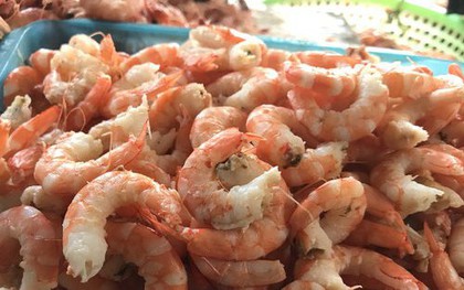 Nghề bóc vỏ tôm, cứ tay nhanh là tiền nhiều