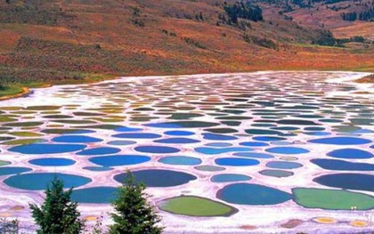 Tại sao hồ "Polka Dot" của Canada có thể là một hồ bơi có khả năng chữa bệnh