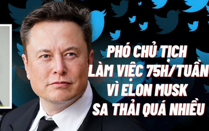 Ác mộng của Phó chủ tịch Twitter: Phải làm việc hơn 75 giờ/tuần vì Elon Musk đã đuổi quá nhiều người