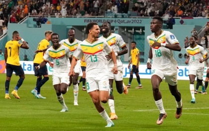 Senegal đánh bại Ecuador, giành vé vào vòng 1/8 World Cup 2022