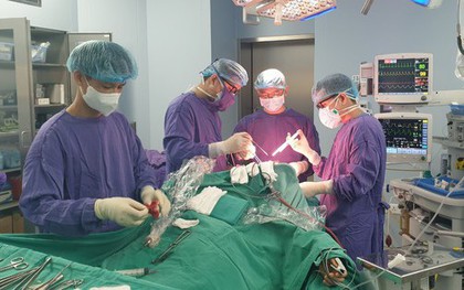 Cảnh báo biến chứng chảy máu não do sốt xuất huyết