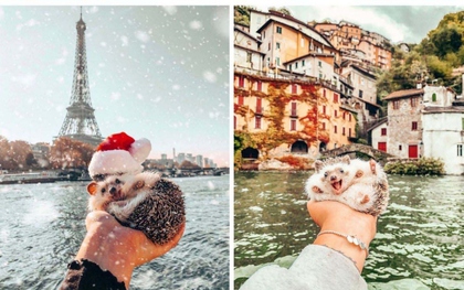 Những tài khoản Instagram du lịch truyền cảm hứng nhất