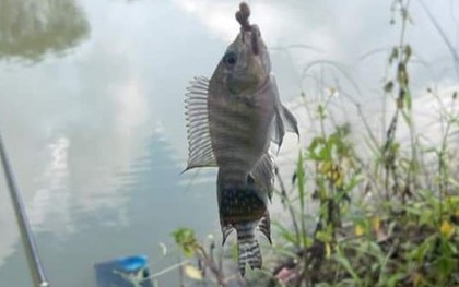 Mâu thuẫn lúc câu cá, hai bố con lao vào tấn công cụ ông 60 tuổi
