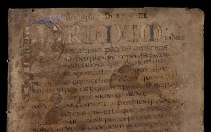 Bí ẩn trong bản thảo 1.200 năm tuổi
