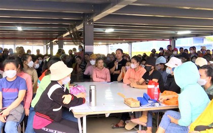 Hơn 500 công nhân ở Đà Nẵng bị cho thôi việc