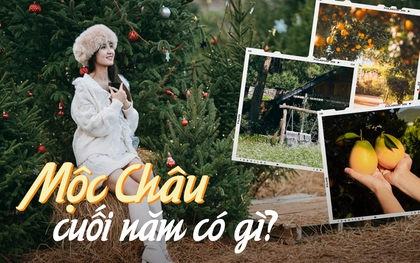 Du lịch Mộc Châu đừng lỡ hẹn với những địa điểm này, toàn tọa độ sống ảo đẹp ngỡ ngàng dịp cuối năm