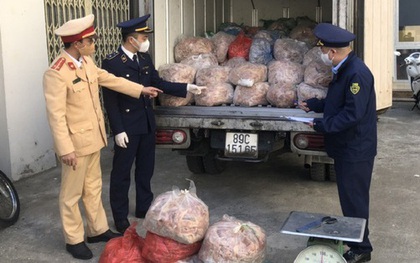 Bắt ô tô chở 1,4 tấn bì heo bốc mùi mang vào Thanh Hóa tiêu thụ