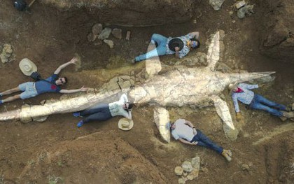 Siêu quái vật đầu rắn dài 10 mét, 100 triệu tuổi hiện hình ở Úc