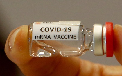 Tổng giám đốc WHO ủng hộ miễn trừ quyền sở hữu trí tuệ vaccine Covid-19