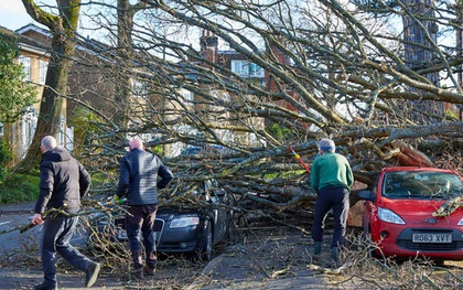 Gần 200.000 hộ gia đình ở Anh vẫn không có điện sau cơn bão Eunice