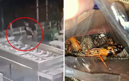 Gái xinh đi ăn buffet đăng hình ảnh lên mạng "khoe" hành vi phản cảm khiến chủ nhà hàng "khóc thét" và cái kết gây tranh cãi