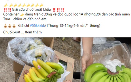 Hết tôm hùm lại đến chuối bị tắc biên quay đầu bán "giải cứu", giá chỉ 5.000/kg