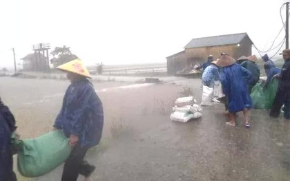 Thừa Thiên - Huế: Mưa trắng trời, nhiều nơi bị ngập, bộ đội dầm mình trong nước cứu lúa giúp dân