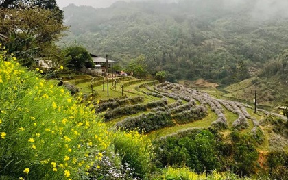 "Bỏ phố về rừng" lúc dịch, đến giờ, tôi bắt đầu hối hận vì phải di chuyển 2 tiếng đến nơi làm việc và về nhà khi trời đã tối