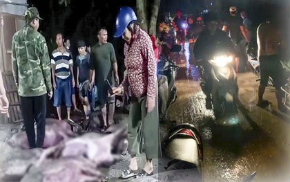 Gia chủ xúc động nhìn cả trăm người xếp hàng thâu đêm "giải cứu" 229 con lợn bị sét đánh