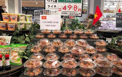Một loại quả Việt Nam thắng lớn tại Nhật, thương nhân Trung Quốc nườm nượp tìm mua