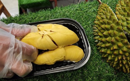 Choáng với giá sầu riêng Musang King trồng tại Việt Nam