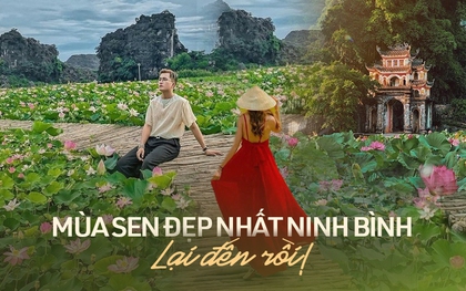 Đừng bỏ lỡ mùa sen đẹp nhất Ninh Bình: Góc nào đứng vào cũng ngút ngàn!