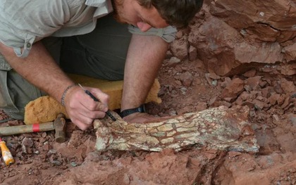 Khai quật xương hóa thạch khổng lồ, các nhà khoa học ngỡ ngàng về loài vật biết bay sống cách đây 86 triệu năm