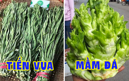 Việt Nam có 4 loại rau giá đắt hơn cả thịt cá, muốn ăn cũng chưa chắc đã có để mua