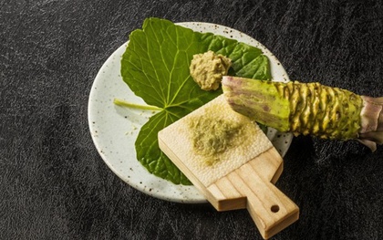 Vì sao củ wasabi tươi ăn kèm sushi Nhật luôn thuộc dạng đắt đỏ bậc nhất thế giới?