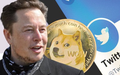 Chuyện gì đây: Elon Musk bị nhà đồng sáng lập Dogecoin gọi là kẻ lừa đảo, bán “giấc mơ làm giàu” cho người nghèo