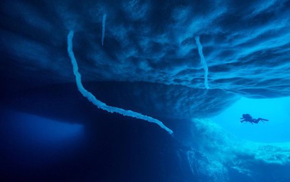 Phát hiện cả một "thế giới ngầm" dưới lớp băng dày của Nam Cực khiến các nhà khoa học "nhảy cẫng lên" vì mừng rỡ