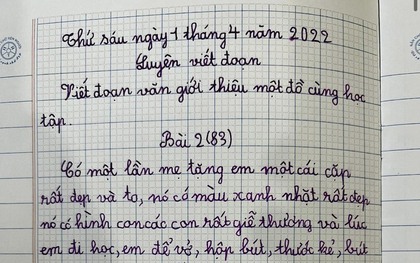 Bài văn giới thiệu đồ dùng học tập của học sinh tiểu học khiến cư dân mạng bật cười