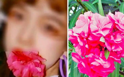 Ngậm hoa “sống ảo” và cái kết đắng của blogger Trung Quốc