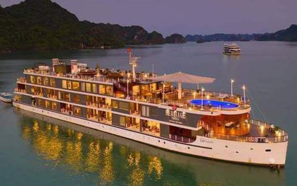 Du thuyền 5 sao của Việt Nam vừa nhận giải thưởng của TripAdvisor, hạ thuỷ từ cảm hứng "vua tàu thuỷ" Bạch Thái Bưởi, giá phòng từ 6 - 8,5 triệu đồng/đêm