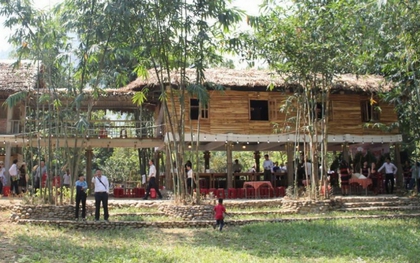Đà Nẵng thí điểm phát triển dịch vụ du lịch gắn với nông nghiệp