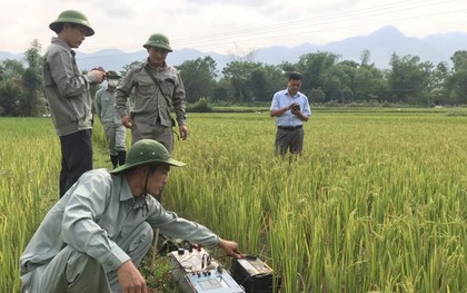 Nghệ An: Nguyên nhân ban đầu vụ xuất hiện nhiều "hố tử thần", nhà nứt hàng loạt