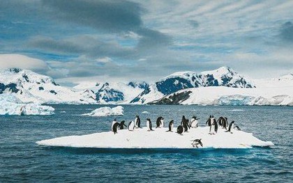 Sông băng Doomsday ở Nam Cực tan nhanh nhất trong 5.500 năm, lời cảnh báo biến đổi khí hậu đe dọa thảm họa nước biển dâng