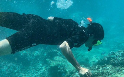 Khánh Hòa tạm dừng du lịch lặn biển để cứu san hô ở Hòn Mun