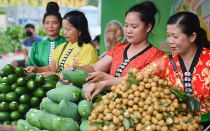 Sơn La xúc tiến nhãn, xoài... lên suất ăn trên máy bay, quảng bá nông sản ra các nước trên thế giới