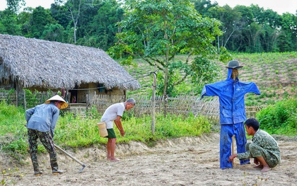 Bỏ việc lương 10 triệu, chàng trai về quê trồng rau, nuôi gà: Bình yên nhưng không dễ dàng