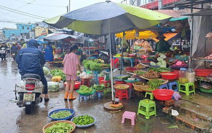 Phú Quốc: Hành lá vượt ngưỡng hơn 250.000 đồng/kg