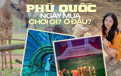 3 điểm vui chơi trong nhà ở Phú Quốc bất chấp ngày mưa: Lưu gấp nếu đang có ý định đi vào mùa này