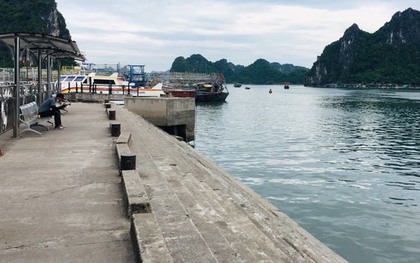 Quảng Ninh: Tạm ngừng cấp phép tàu du lịch do bão số 1