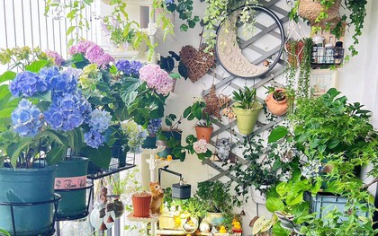 Khu vườn ban công chỉ 4m² khiến bạn nhìn là mê ngay