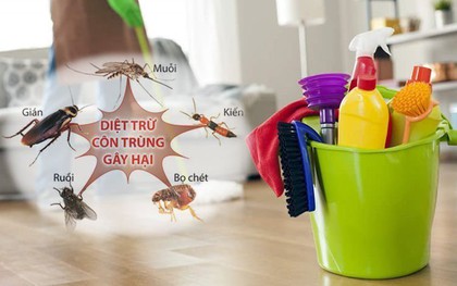 Sử dụng loạt mẹo nhỏ này, đảm bảo nhà bạn vừa thơm lại không còn bóng dáng côn trùng