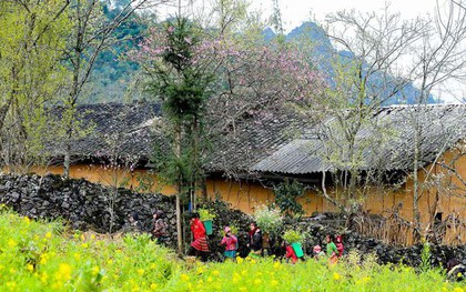 Bảo tồn, phát huy văn hóa truyền thống dân tộc Mông và Hà Nhì gắn với phát triển du lịch