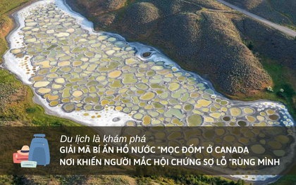 Lý giải bí ẩn hồ nước “mọc đốm” ở Canada: Nơi khiến người mắc hội chứng sợ lỗ "rùng mình"