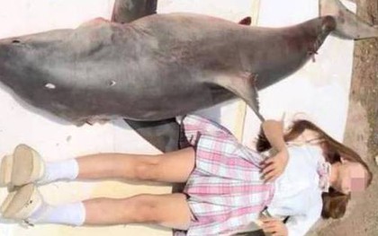 Trung Quốc: Vlogger bị điều tra vì ăn thịt cá mập trắng